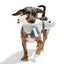BARK Flappin Flossie Dog Toy