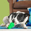 BARK Munchie The Bear Dog Toy