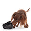BARK Black Bear Bones Dog Toy