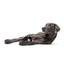 BARK Black Bear Bones Dog Toy