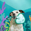BARK Flingray Dog Toy