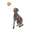 BARK Sonny The Sloth Dog Toy