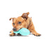 BARK Whiz Squid Dog Toy