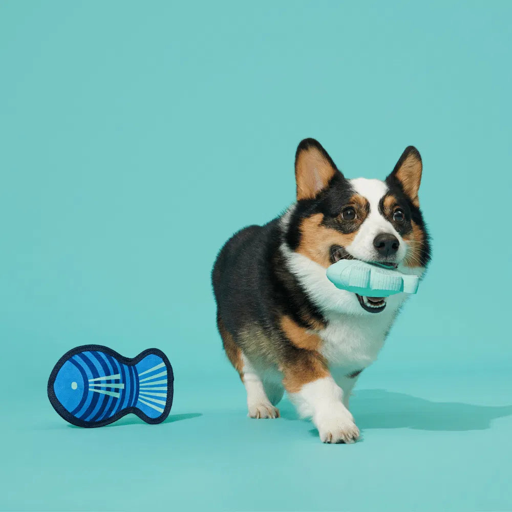 BARK Blue Rad Herring Dog Toy