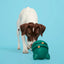 BARK Aurora Beast Dog Toy