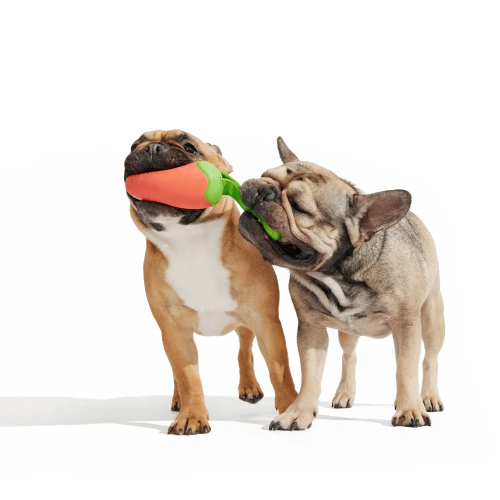 BARK Habanero Pupper Dog Toy