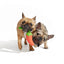 BARK Habanero Pupper Dog Toy
