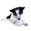 BARK Hippie Hopper Dog Toy
