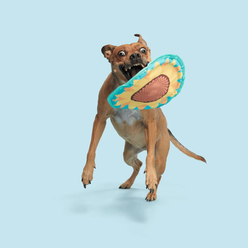 BARK Sunflower Flinger Dog Toy