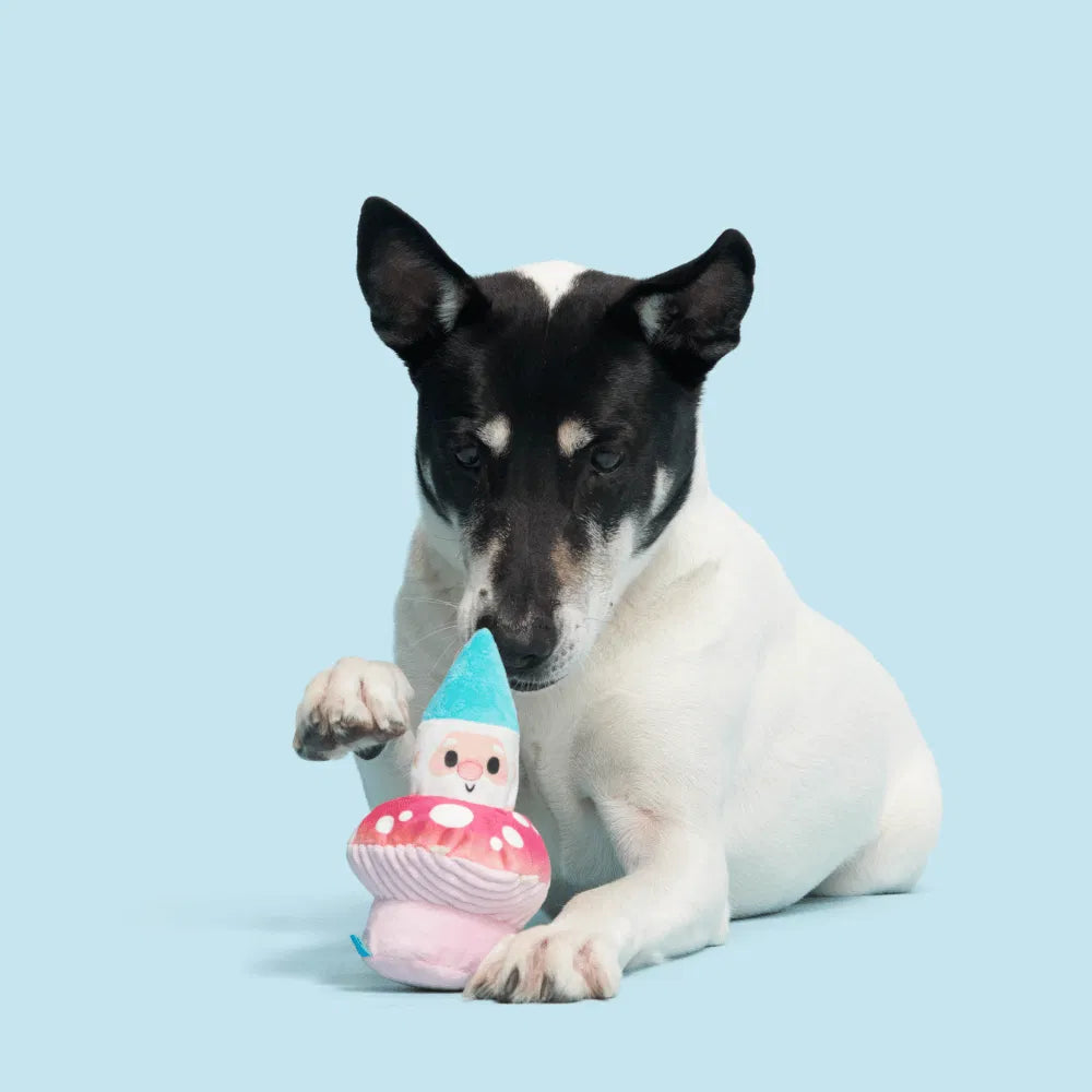 BARK Fun Guy Gnomie Homie Dog Toy