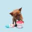 BARK Fun Guy Gnomie Homie Dog Toy