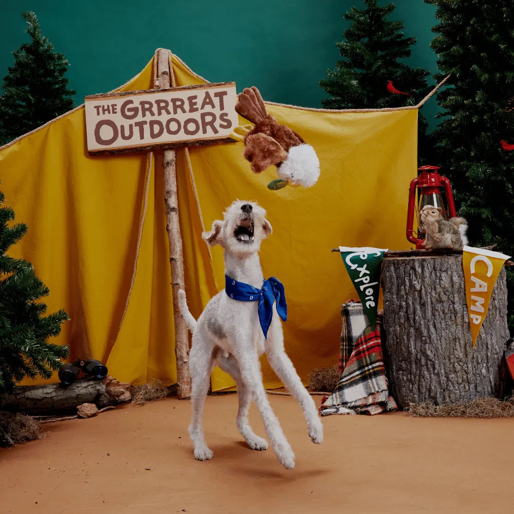 BARK Majestic Marty Dog Toy