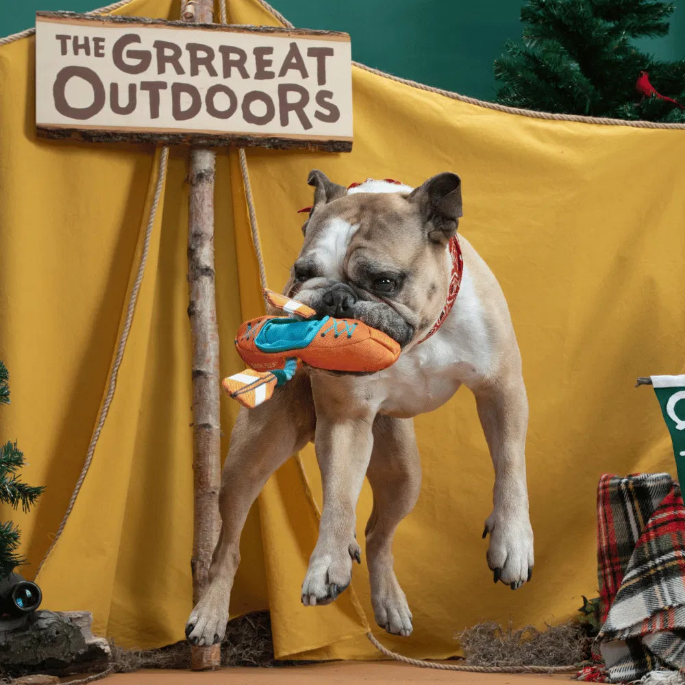 BARK Off-Track Kayak Dog Toy