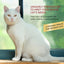 Churu Senior Tuna Recipe Cat Treats 4x14g