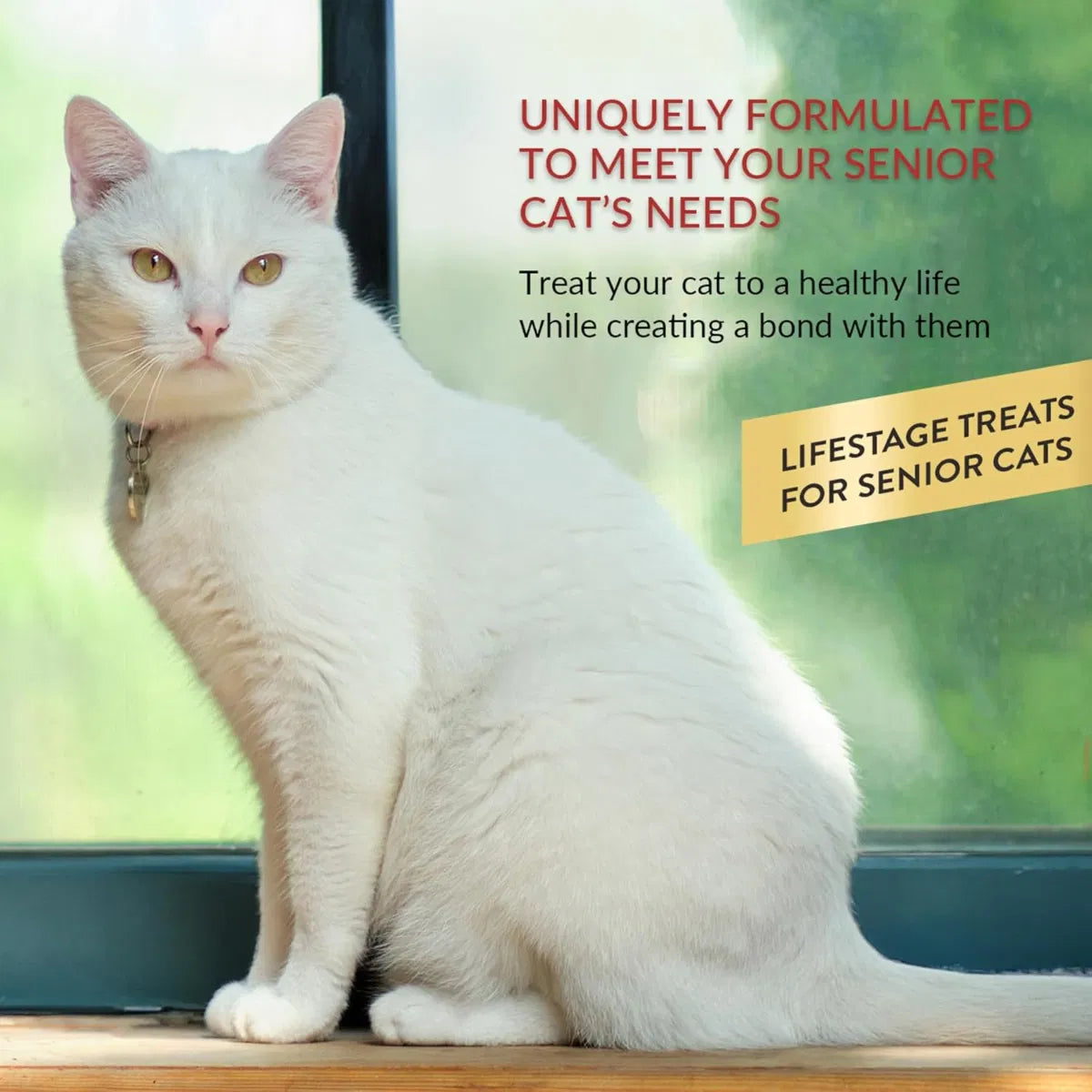 Churu Senior Tuna with Salmon Recipe Cat Treats 4x14g