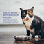 CIAO Broth Chicken with Scallop Recipe Cat Wet Pouches 40gx12