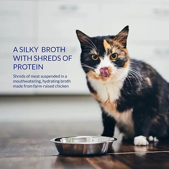 CIAO Broth Chicken with Scallop Recipe Cat Wet Pouches 40gx12