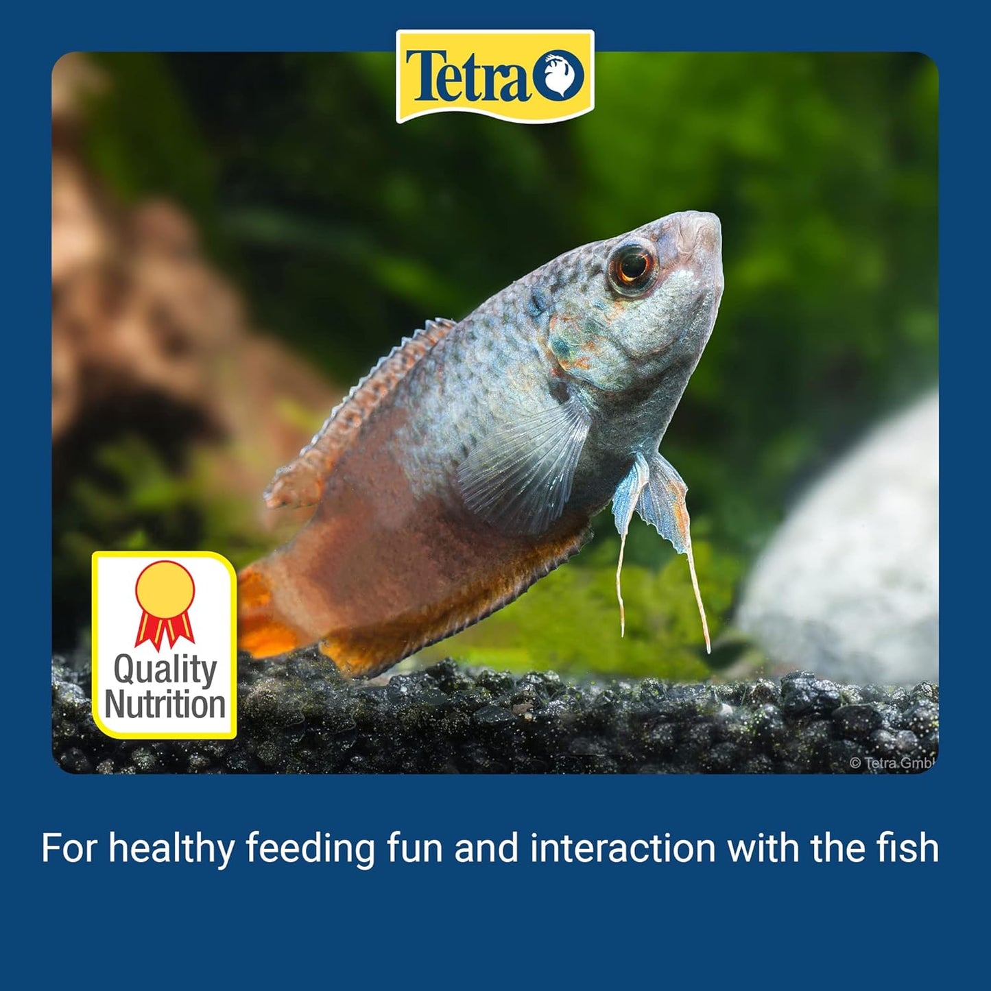 Tetra Delica Bloodworm, 16x3g