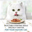 Gourmet Perle 7+ Senior Cats Mini Fillets In Gravy Chicken & Salmon 12pk