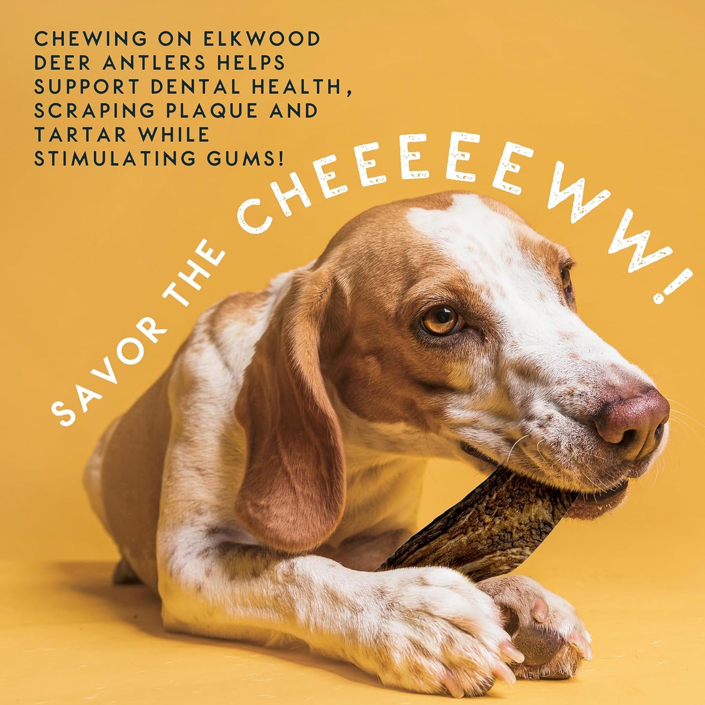 Elkwood 100% Natural Split Antler Chew
