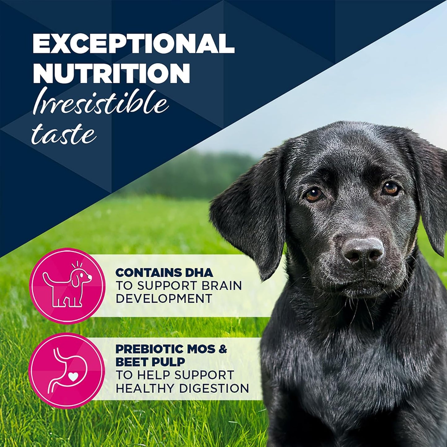 Eukanuba Cans 1-12 Months Puppy Turkey & Carrots 6 X 400G