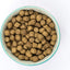 Burns Original Chicken and Brown Rice 12kg - Ormskirk Pets