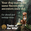 Taste Of The Wild All Breeds & Life Stage Pine Forest Grain Free Dry Dog Food 12.2kg