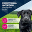 Eukanuba Cans 1-7 Years Adult Dog Lamb & Potato 6 X 400G