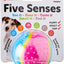 Five Senses Sensory Rubber Ball 6.35cm - Ormskirk Pets
