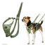 Company Of Animals Halti No Pull Harness Green