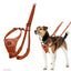 Company Of Animals Halti No Pull Harness Orange