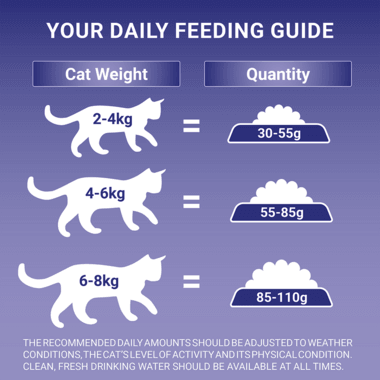 Purina One Sensitive Adult Dry Cat Food Turkey 750G - Ormskirk Pets