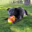 KONG Flexball Sport Football Medium