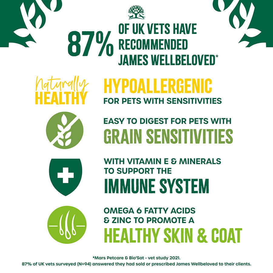 James Wellbeloved Senior Cat Grain Free Salmon In Jelly  12 X 85G