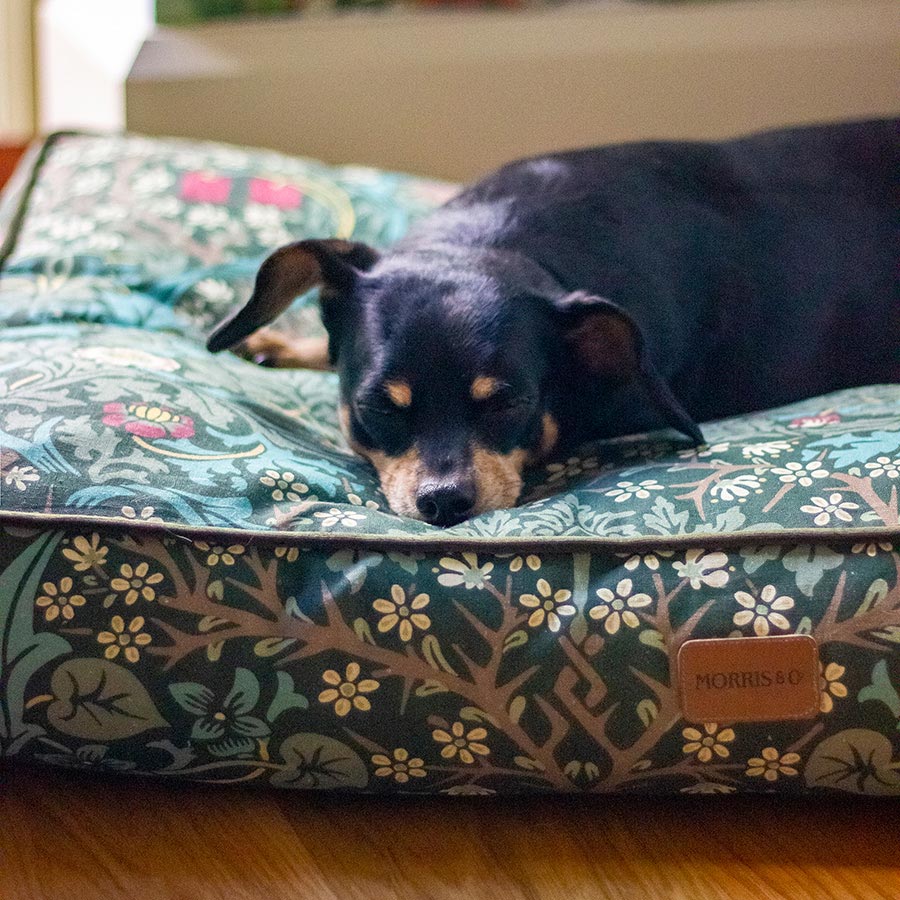 William Morris Pet Mattress Blackthorn Print
