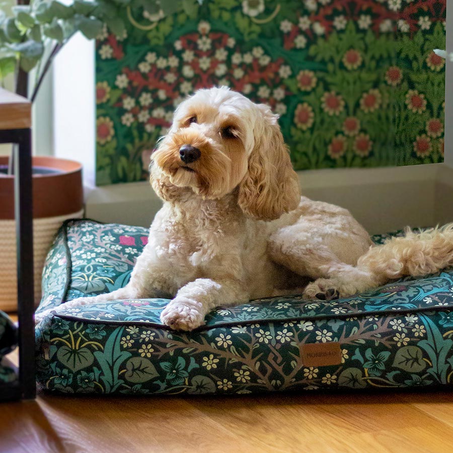 William Morris Pet Mattress Blackthorn Print