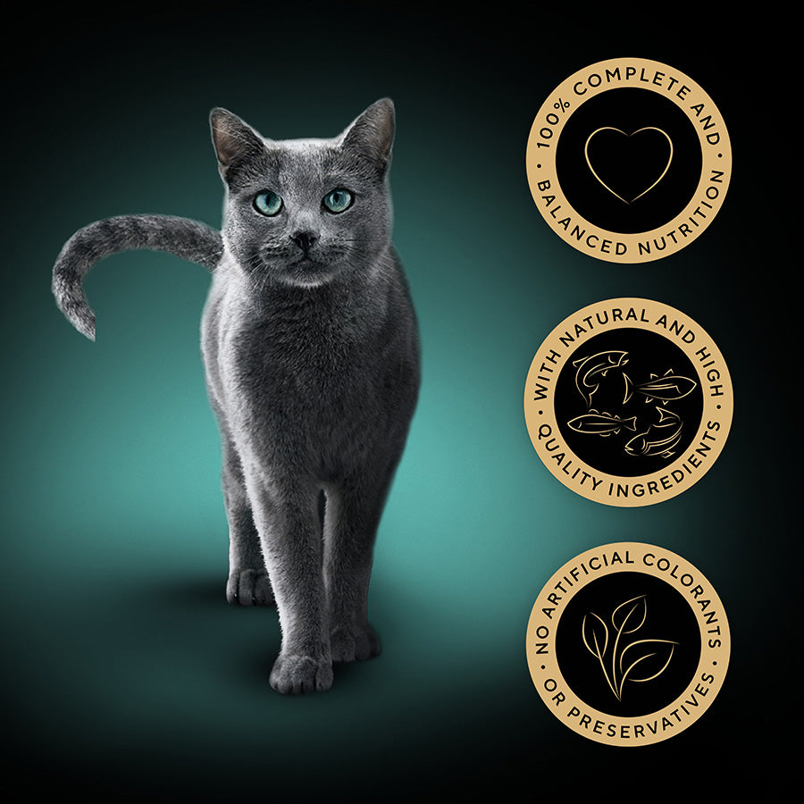 SHEBA Sauce Collection Adult Cat Food Fish Selection 40 Pack, 85G