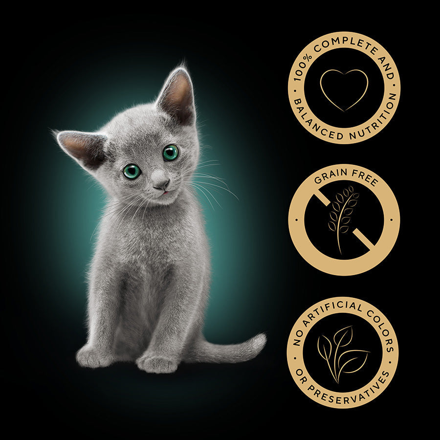 SHEBA Mixed Selection Kitten Wet Cat Food in Gravy 40 Pack, 85G