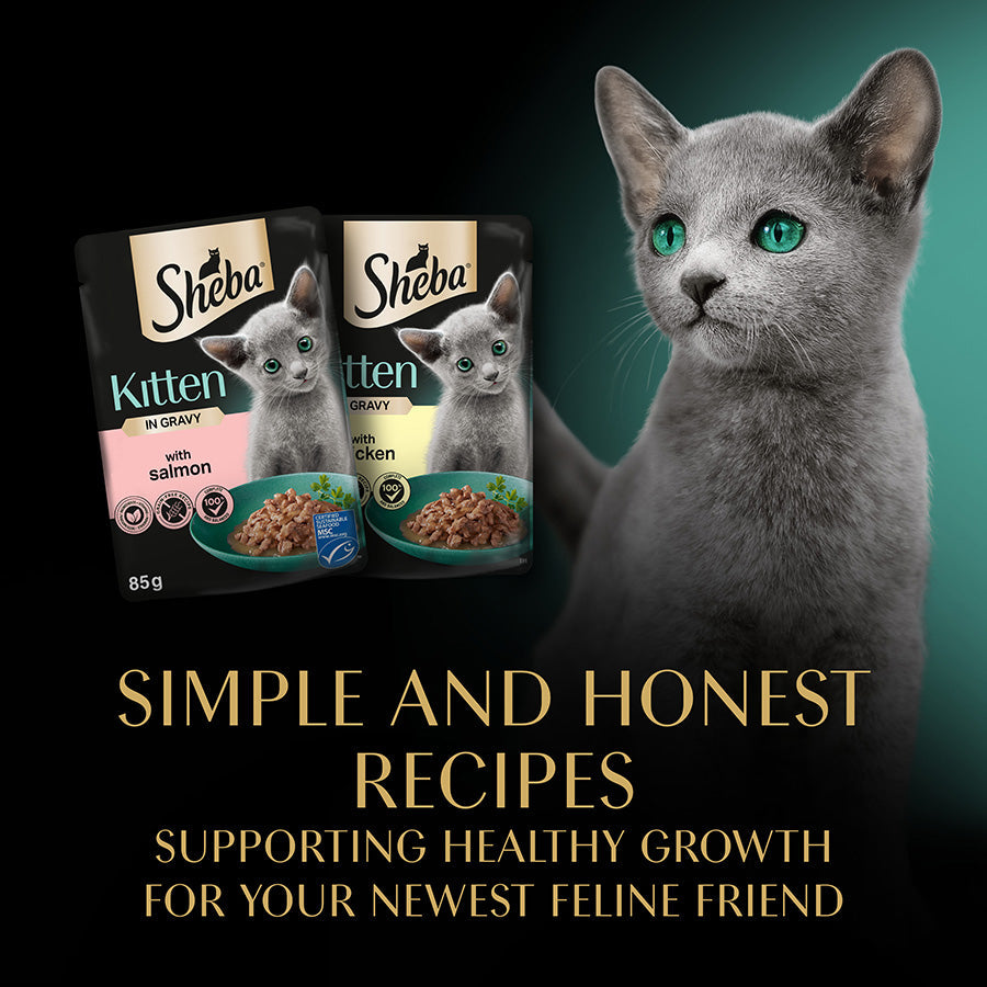 SHEBA Mixed Selection Kitten Wet Cat Food in Gravy 40 Pack, 85G