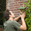 National Trust Birch Log Nest Box 32mm Hole