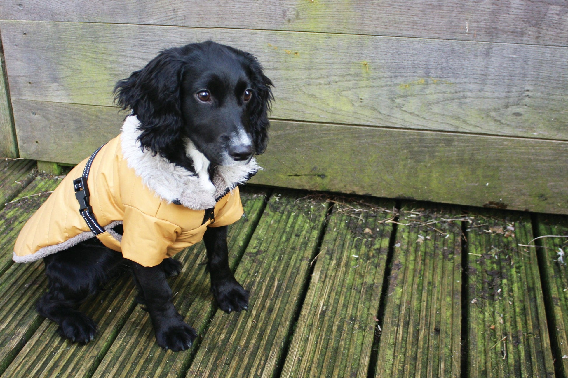 NEW LUXURY Happy Pet Sherpa Winter Coat Cranberry Dog Puppy Coat - Ormskirk Pets