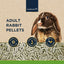 Marriage's Adult Rabbit Pellets 2kg