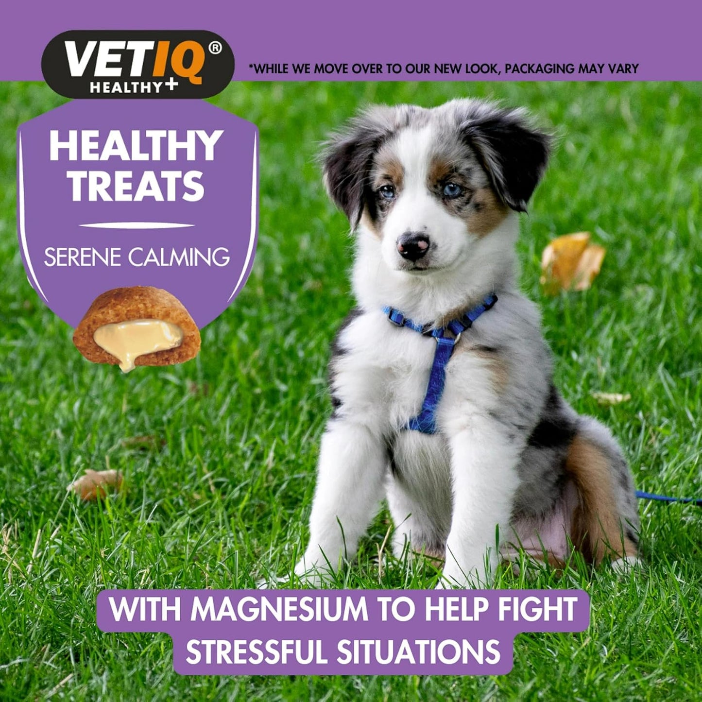 VETIQ Calming Treats 50g