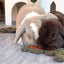 Rosewood Carrot N Forage Bunny