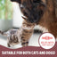 Rosewood Salmon Oil for Dogs & Cats 500ml