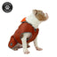 Stormguard Dog Coat Terracotta