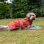 Stormguard Dog Coat Terracotta