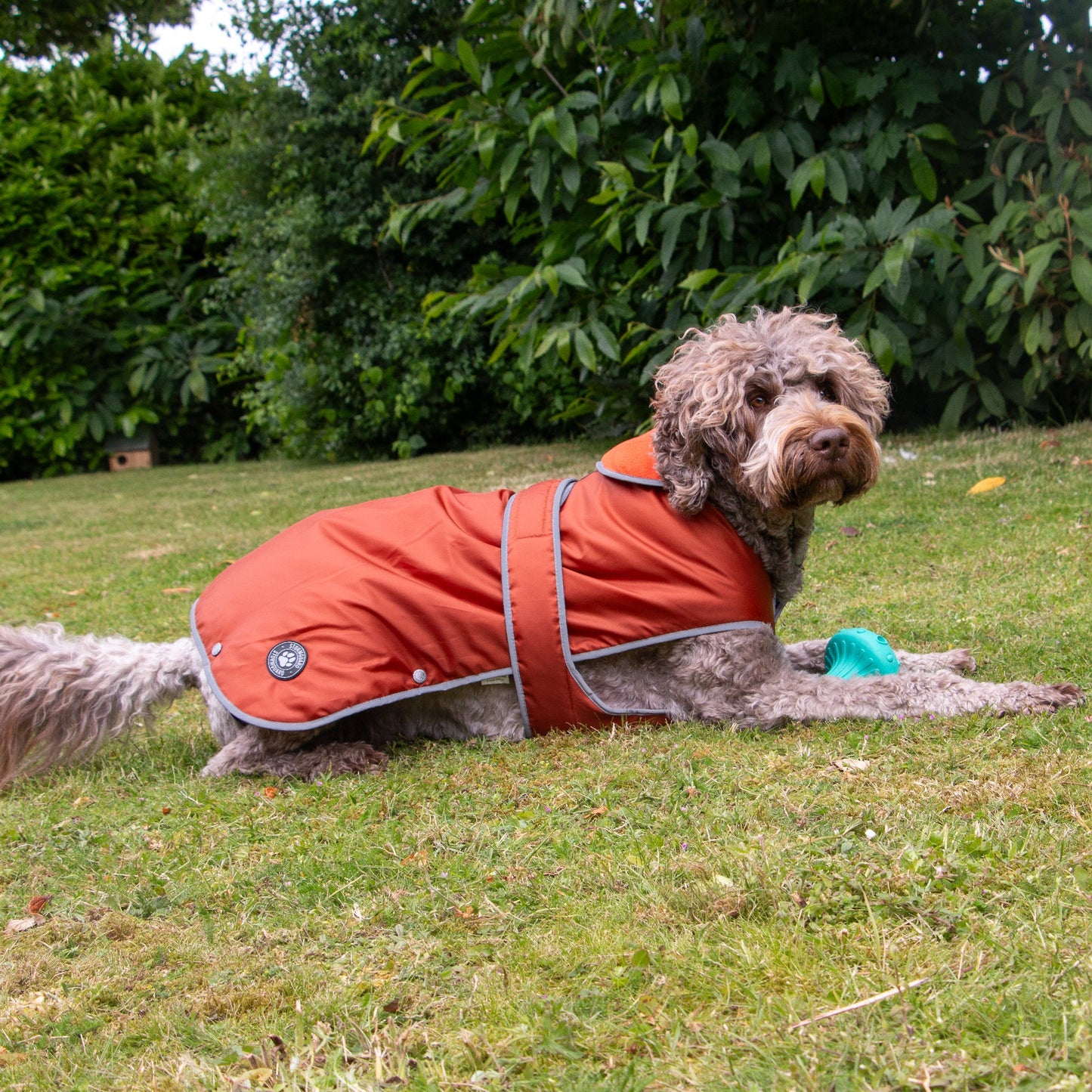 Stormguard Dog Coat Terracotta