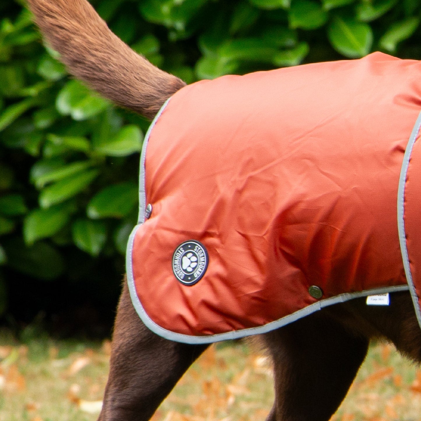 Stormguard Dog Coat Terracotta