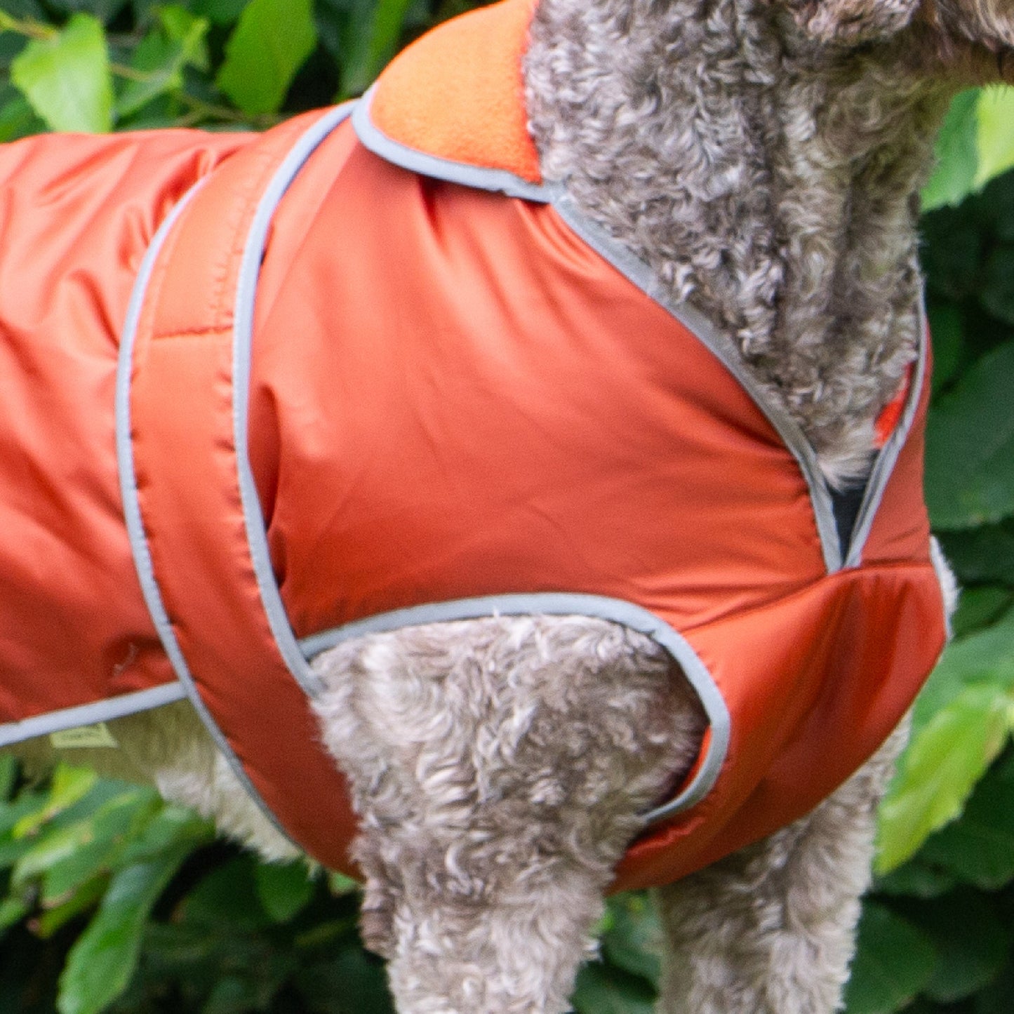 Stormguard Dog Coat Terracotta